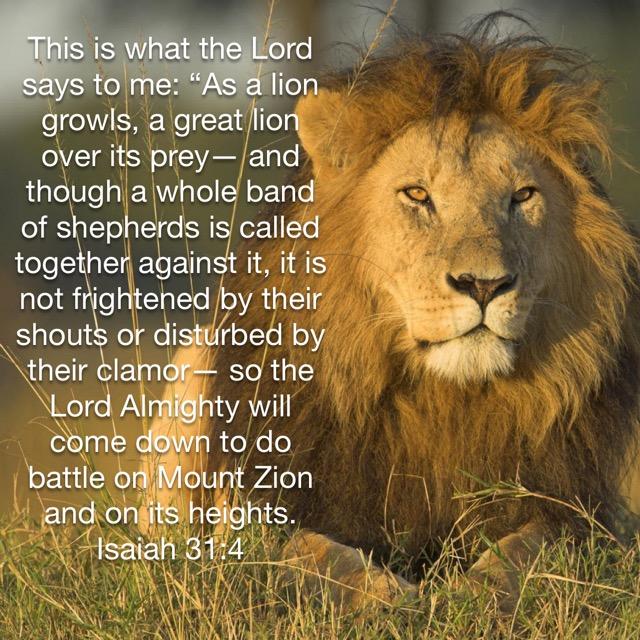 Legends Scripturea Photo Gallery